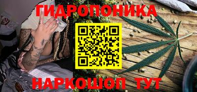 ПСИЛОЦИБИНОВЫЕ ГРИБЫ Кулебаки